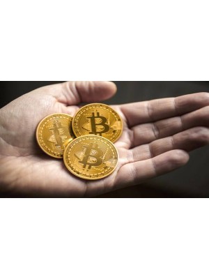 BitCoin Madeni Hediyelik Coin Sanal Para