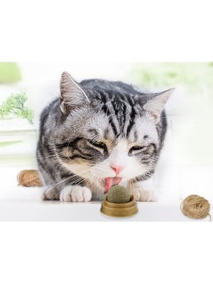 Kedi Nanesi Cat Mint Oyun Topu